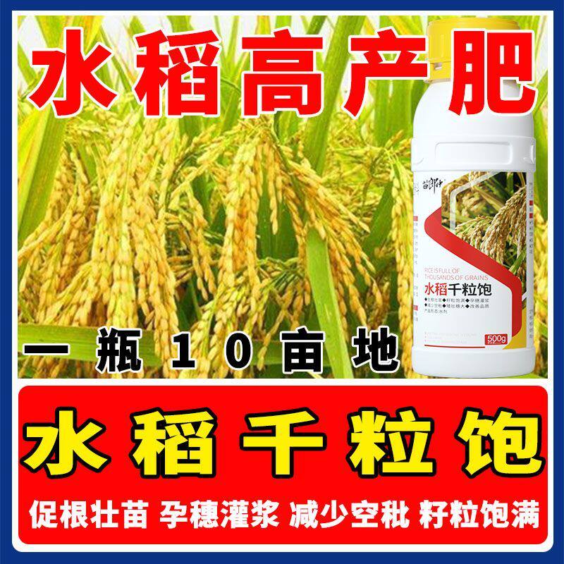 正品水稻千粒饱提质增产膨大饱满促进发育钙镁叶面稻黄金水溶肥料