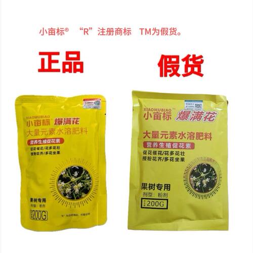 小亩标爆满花荔枝龙眼