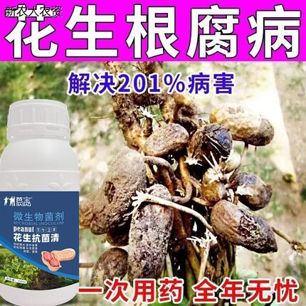 花生烂果病花生病害清花生病微生物菌剂花生无病害花生果腐病专用
