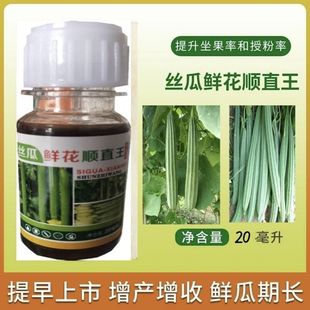 发5瓶,丝瓜鲜花顺直王,蘸花药,沾花药。坐果药,拉直。