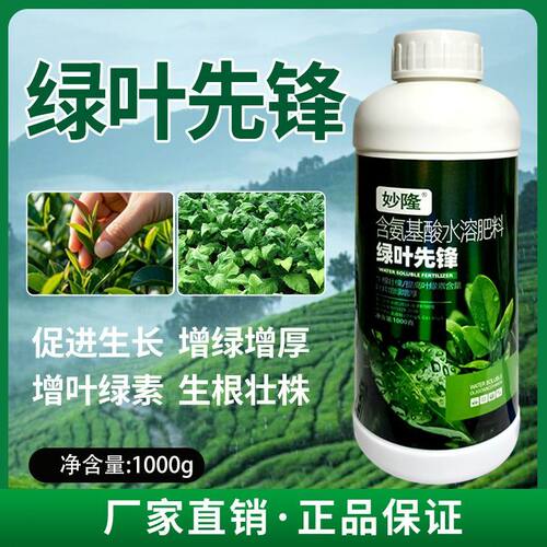 绿叶先锋叶面肥促进光合