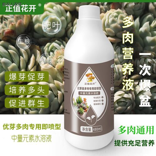 优芽素多肉专用叶插促芽