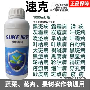 速克果树白粉灰霉增效助剂蔬菜大棚种植杀菌剂复配增效微生物菌剂
