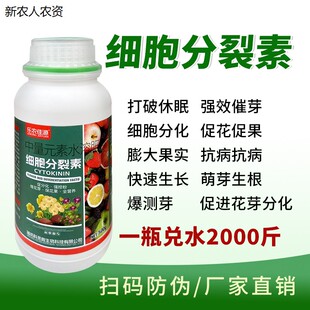 细胞分裂素叶面肥保花保果花芽分化膨果增甜果树芒果苹果柑橘荔枝