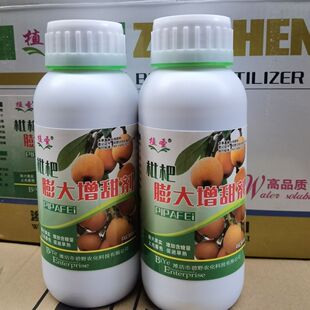 植圣枇杷大果灵枇杷膨大增甜剂着色剂防落防裂冻增产除锈叶面肥