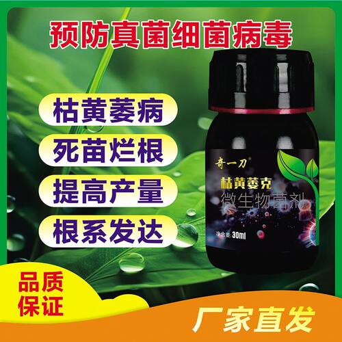 奇一刀枯草莓黄萎克微生