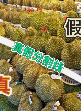 仿真榴莲模型套圈道具假榴莲装饰