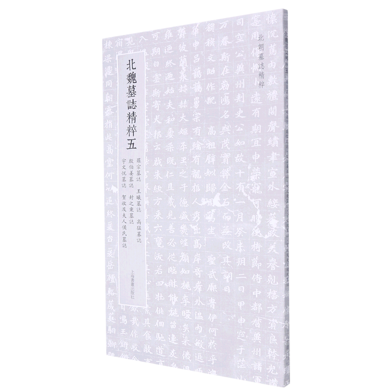 北魏墓志精粹五,罗宗墓志、王曦墓志、高猛墓志、殷伯姜墓志、封之秉墓志、宇文悦墓志、贺收及夫人侯氏墓...