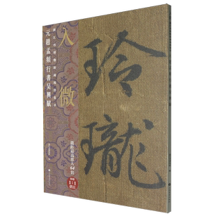 【新华书店 正版书籍】入微:浙江省博物馆藏瑰宝集萃.元赵孟頫行书吴兴赋