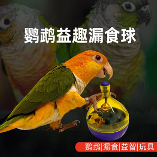 鹦鹉玩具觅食玄凤鸟小太阳解闷自嗨训练益智不倒翁啃咬漏食球神器