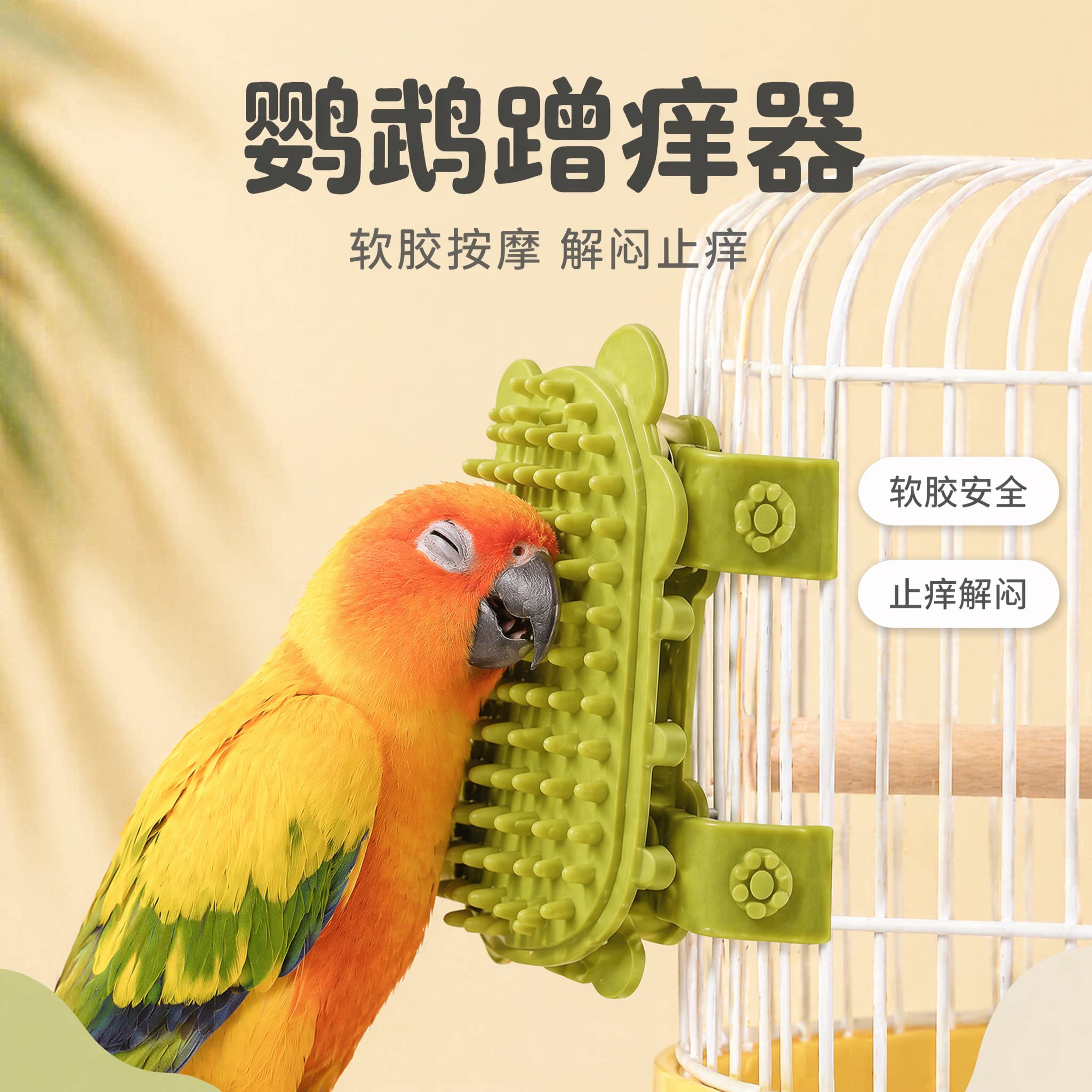 你家鸟的头是不是也是痒痒的图片