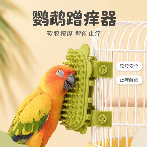 你家鸟的头是不是也是痒痒的