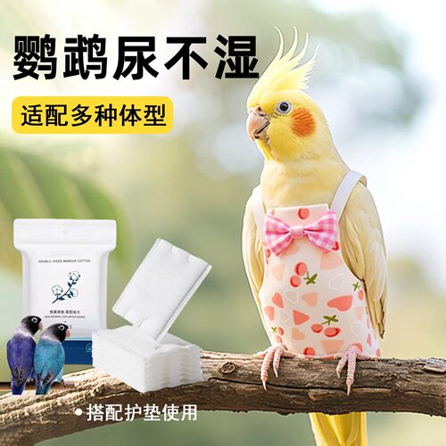 鹦鹉尿不湿屎兜一次性粪兜纸尿裤