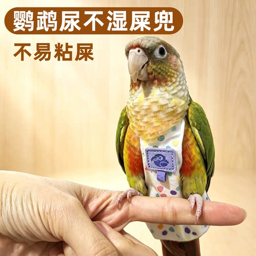 【按扣款】鹦鹉尿不湿可挂放飞绳