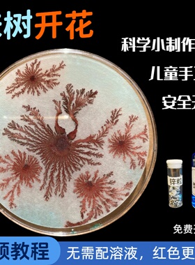 铁树开花科学小实验幼儿手工小制作小学科学课材料包科技亲子家庭