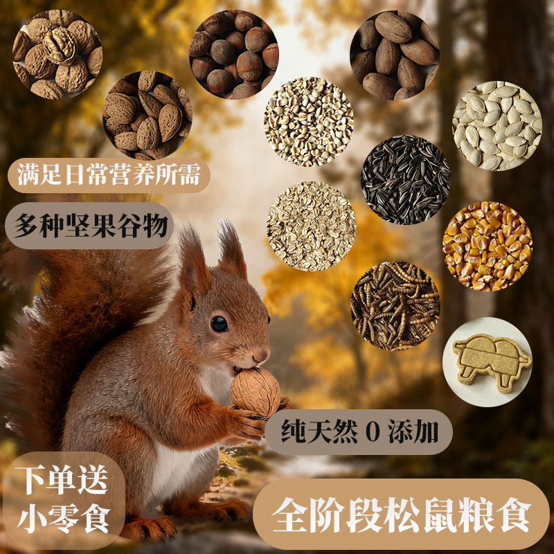 松鼠主食坚果自配粮磨牙营养图片