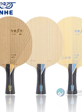 银河外置PRO-01X内置PRO-05专业一号1 5号碳素2号乒乓球底板球拍