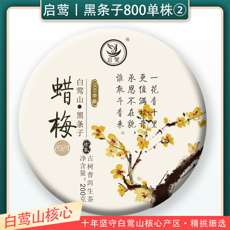 【启莺】白莺山核心黑条子800单株【蜡梅②号】明前古树普洱生茶