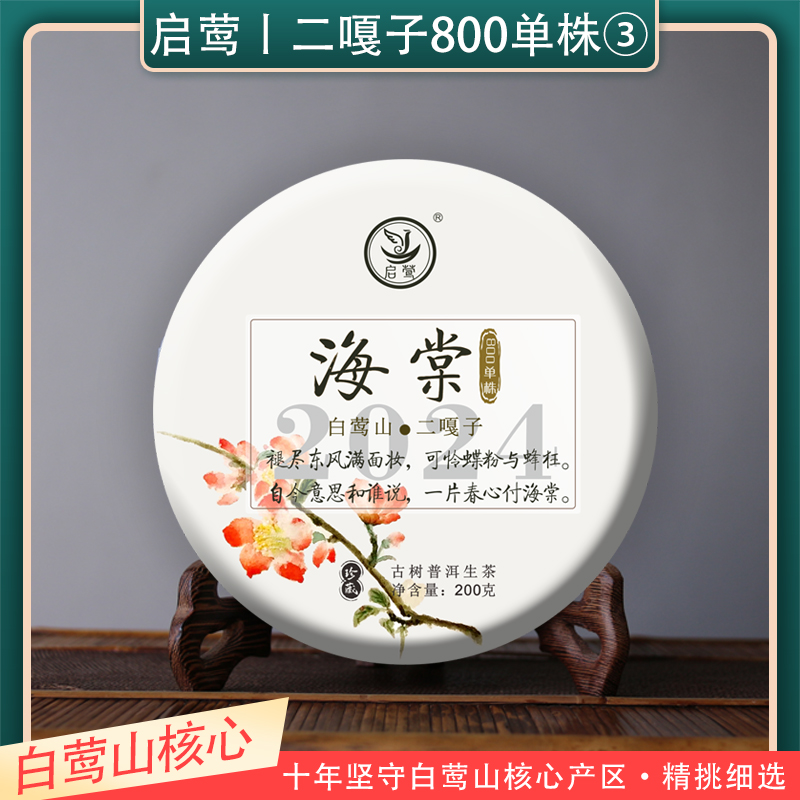 启莺普洱生云南白莺山二嘎子单株