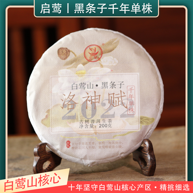 【启莺】白莺山核心黑条子千年单株【洛神赋】明前古树普洱生茶藏