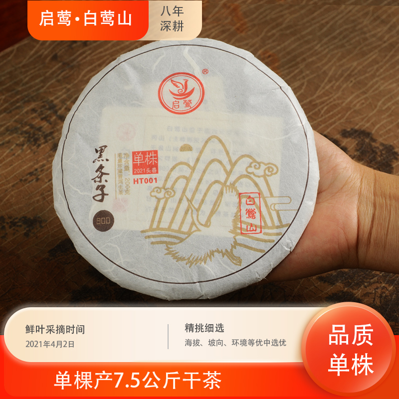 【启莺】黑条子800单株1号白莺山2021年春明前古树普洱生茶云南