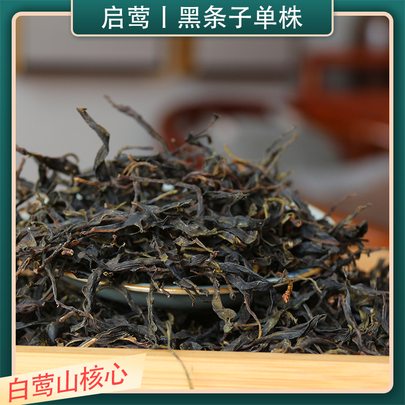 启莺普洱生茶云南单株黑条子生普