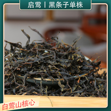 【启莺】2024年白莺山稀有黑条子500年单株古树普洱生茶散茶精品