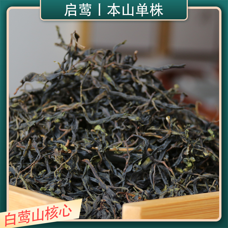 启莺普洱生茶云南本山单株白莺山
