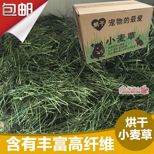Сушная пшеница травяная трава кролик Тоторо Тоторо Голландская свинина Федеральная пшеничная пшеница утренняя трава модель 1 кг бесплатная доставка