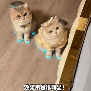 猫咪发光鞋宠物狗狗鞋子哨子夜光儿童玩具夜间拍照小配件撸猫装扮