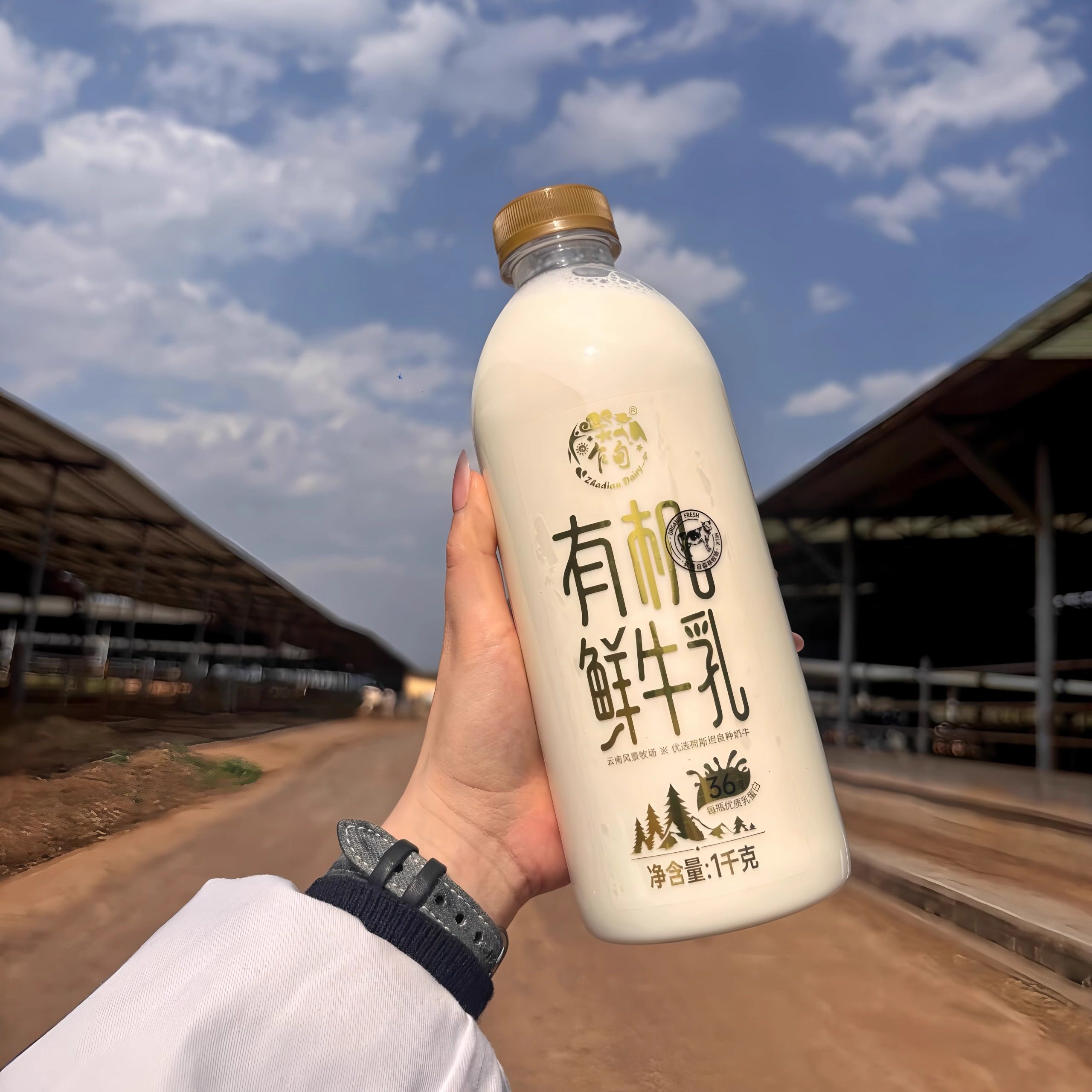 云南乍甸有机纯牛奶1Kg*2瓶 0添加有机鲜牛乳官方旗舰店森林牧场