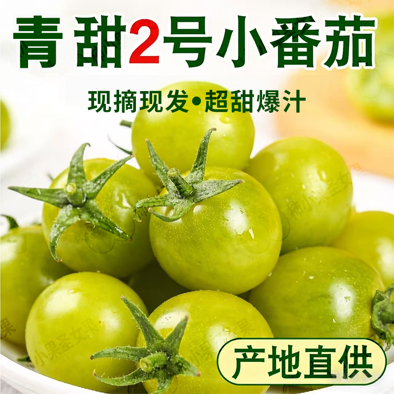 青口蜜小番茄绿色西红柿正宗梦想青甜2号翠玉樱桃小番茄圣女果甜