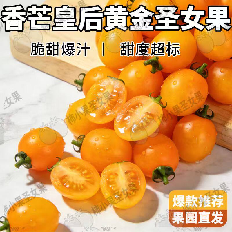 香芒皇后黄金小番茄芒果味