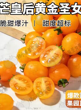 黄色小番茄香芒皇后圣女果皇冠千禧小番茄芒果味小番茄黄金小番茄