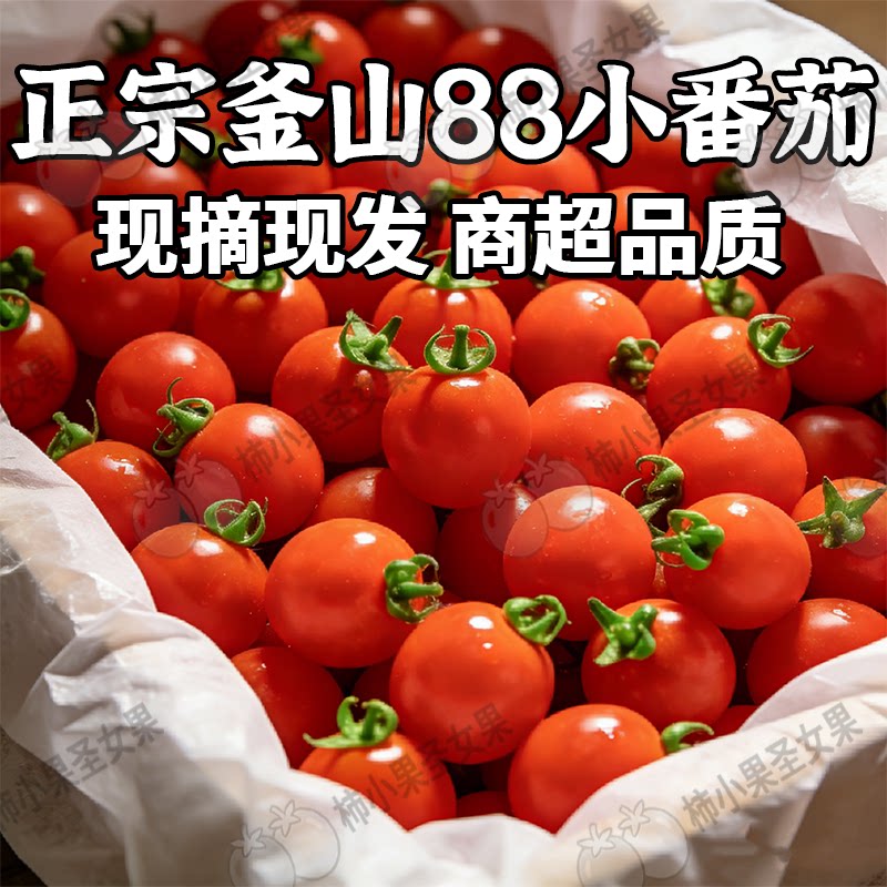 釜山88小番茄正宗千禧玲珑圣女果迷你樱桃番茄超甜小西红柿小蕃茄