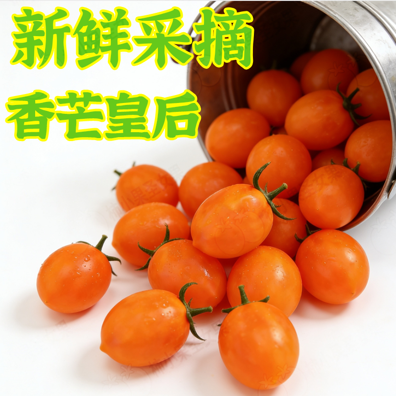 黄金圣女果小番茄纯甜千禧小番茄黄色番茄蕃茄皇后小西红柿黄5斤