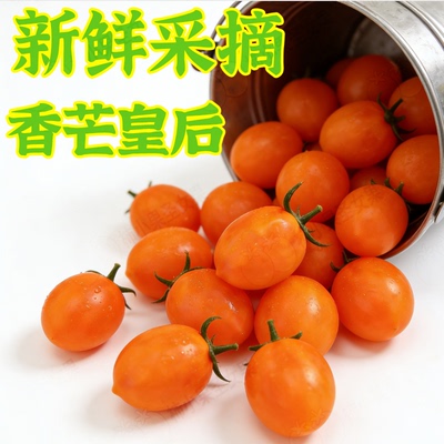 黄金圣女果小番茄纯甜千禧小番茄黄色番茄蕃茄皇后小西红柿黄5斤