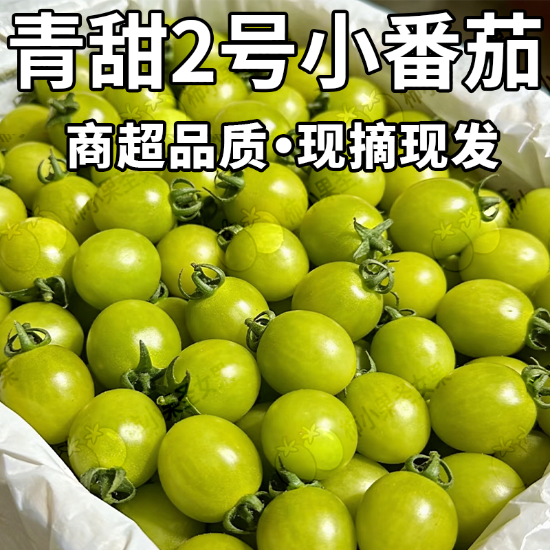 青甜小番茄绿色玲珑千禧小番茄超甜圣女果绿西红柿清甜二号小柿子