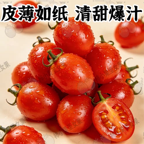 超甜釜山88小番茄小柿子小西红柿玲珑樱桃小番茄冰糖葫芦专用蕃茄