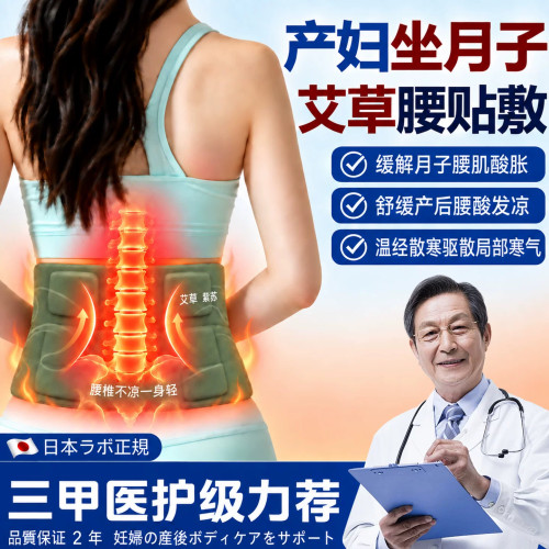 日本产妇艾草自发热暖腰贴