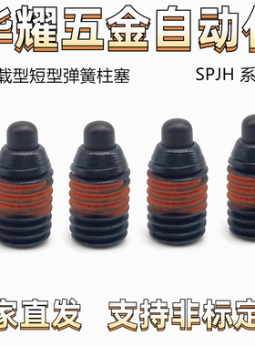 重载型短型弹簧柱塞 SPJH5  定位锁销 ZAP63（ZC202-1-3H）