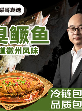 耀哥真选肉质结白臭鳜鱼