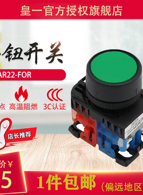 平头平钮按钮开关 AR22FOR-10 G/11 R/Y/B/W/S F0R-10 FOR-11