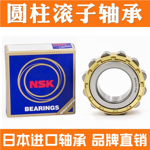 NSK减速机偏心轴承RN 205 206 207 307 309 310 312 313 219 228M