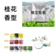 Asmanthus Flavor 10 Pack