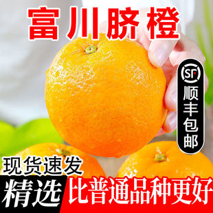 顺丰速发正宗富川脐橙纽荷尔应季水果原厂地现货速发新鲜薄皮橙子