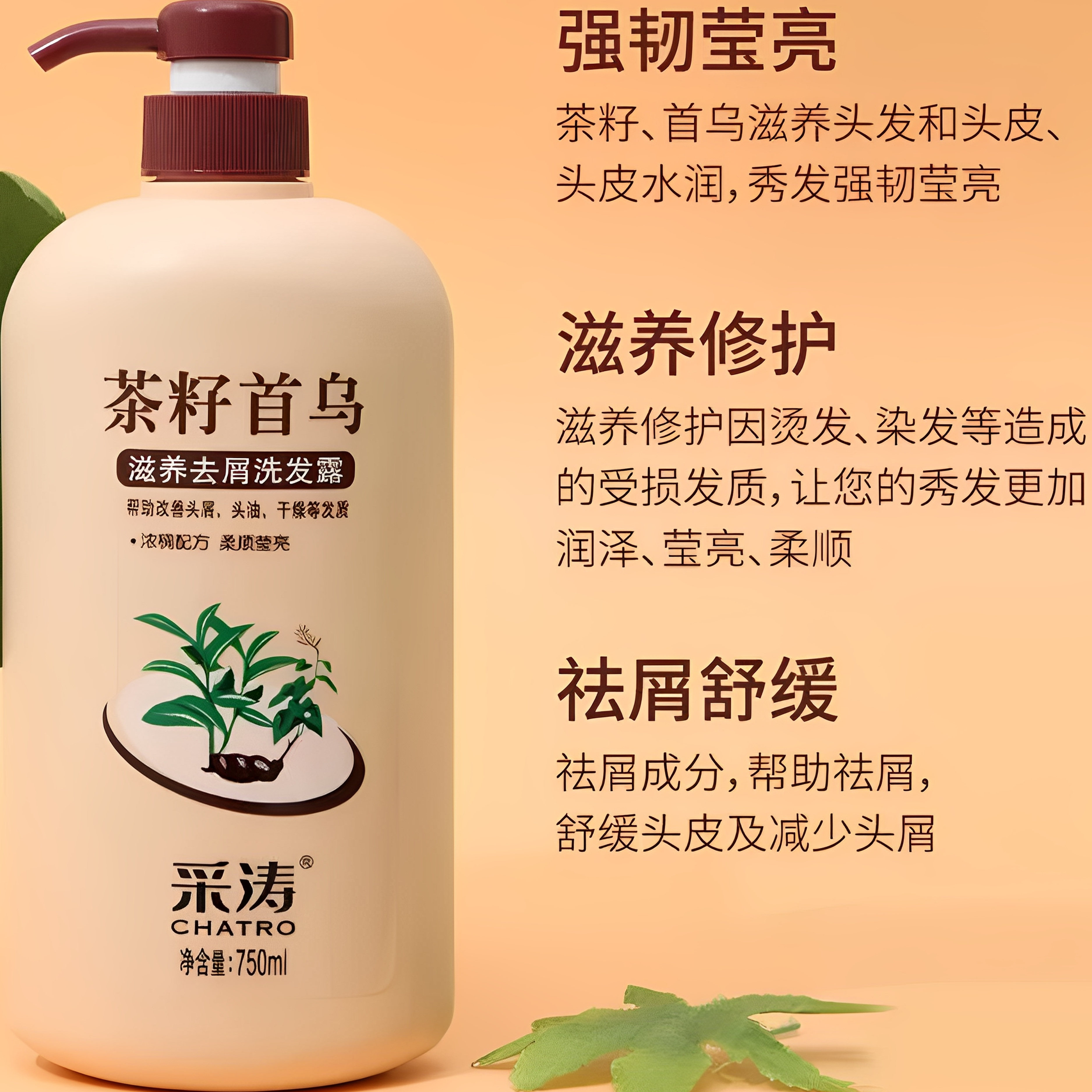 正品采涛洗发水何首乌洗发露茶籽止痒洗发水焗油控油去屑纯天然