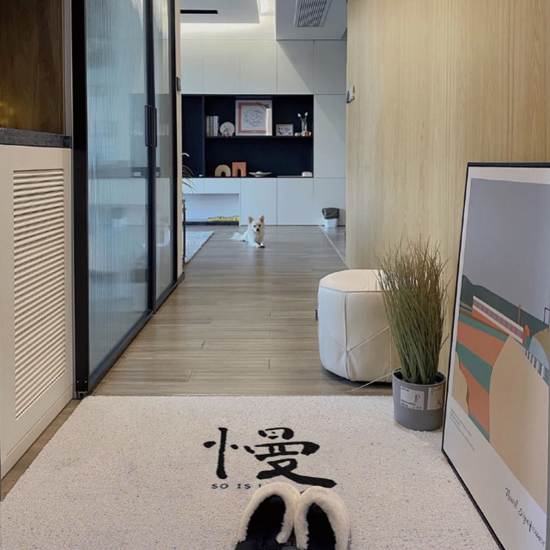 大面积入户门地毯丝圈