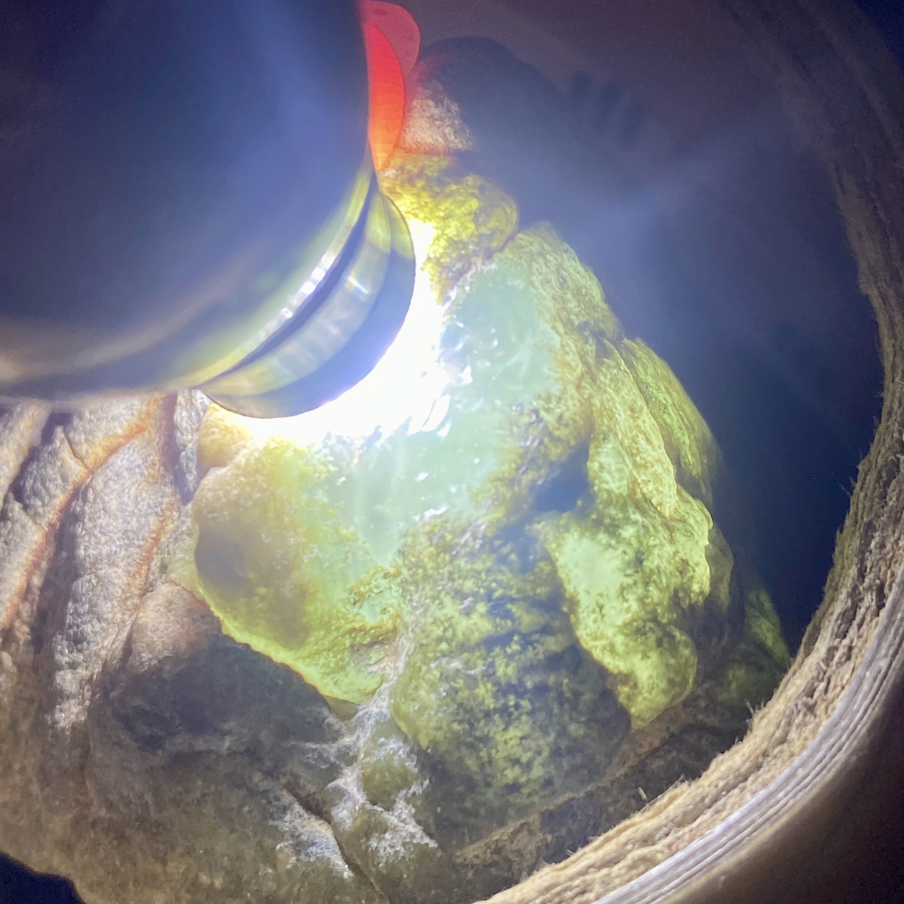 天然脱沙料 天然玉原石 莫西沙冰种样品料 缅甸翡翠原石玉石毛料