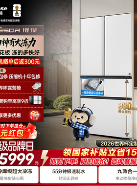海信璀璨大力神600L法式冰箱大冻梨双系统制冰零嵌入式国家补贴